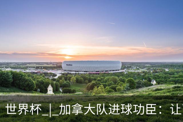 世界杯 | 加拿大队进球功臣：让下个对手“吃苦”