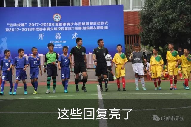 这些回复亮了